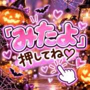 ひまわり お願いします🙇‍♀️ 土浦ビデオdeはんど