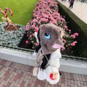 ヒメ日記 2025/11/27 09:18 投稿 ひめか ムーランルージュ