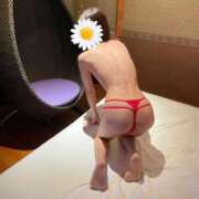 ヒメ日記 2026/06/30 09:16 投稿 虹野菜乃香(にじのなのか) 九州熟女　熊本店
