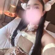 ヒメ日記 2025/12/30 12:21 投稿 藍谷れいか Mrs. Dandy Yokohama