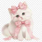 ヒメ日記 2025/03/18 10:23 投稿 こはる S級美女専門　ロイヤルリング