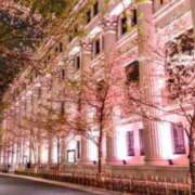 ヒメ日記 2025/03/11 20:55 投稿 すず Second Love（セカンドラブ）