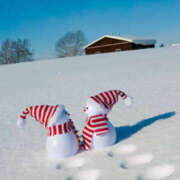 ヒメ日記 2024/12/14 06:12 投稿 戸田 MadameRest(マダムレスト)