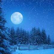 ヒメ日記 2024/12/16 08:47 投稿 戸田 MadameRest(マダムレスト)