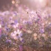 ヒメ日記 2025/02/07 08:53 投稿 戸田 MadameRest(マダムレスト)