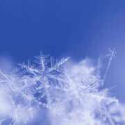 ヒメ日記 2025/02/08 08:33 投稿 戸田 MadameRest(マダムレスト)