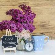 ヒメ日記 2025/02/13 08:14 投稿 戸田 MadameRest(マダムレスト)