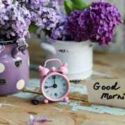 ヒメ日記 2025/02/16 09:26 投稿 戸田 MadameRest(マダムレスト)