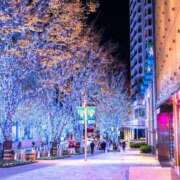 ヒメ日記 2025/03/02 21:25 投稿 戸田 MadameRest(マダムレスト)