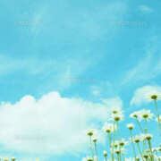 ヒメ日記 2025/03/09 08:41 投稿 戸田 MadameRest(マダムレスト)