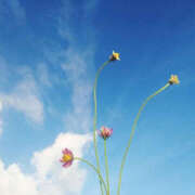 ヒメ日記 2025/03/21 08:14 投稿 戸田 MadameRest(マダムレスト)