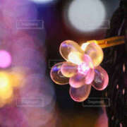 ヒメ日記 2025/03/23 21:28 投稿 戸田 MadameRest(マダムレスト)