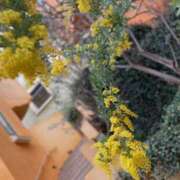 ヒメ日記 2025/03/25 08:12 投稿 戸田 MadameRest(マダムレスト)