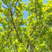 ヒメ日記 2025/04/03 23:42 投稿 戸田 MadameRest(マダムレスト)