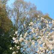 ヒメ日記 2025/04/04 21:40 投稿 戸田 MadameRest(マダムレスト)