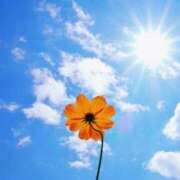 ヒメ日記 2025/04/05 08:35 投稿 戸田 MadameRest(マダムレスト)