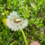 ヒメ日記 2025/04/07 22:19 投稿 戸田 MadameRest(マダムレスト)