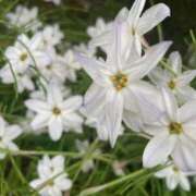 ヒメ日記 2025/04/10 18:39 投稿 戸田 MadameRest(マダムレスト)