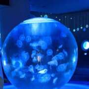 ヒメ日記 2025/04/15 08:21 投稿 戸田 MadameRest(マダムレスト)