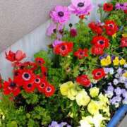 ヒメ日記 2025/04/16 22:28 投稿 戸田 MadameRest(マダムレスト)