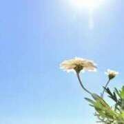 ヒメ日記 2025/04/27 10:42 投稿 戸田 MadameRest(マダムレスト)