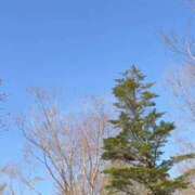 ヒメ日記 2025/04/28 07:40 投稿 戸田 MadameRest(マダムレスト)