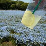 ヒメ日記 2025/05/01 11:11 投稿 戸田 MadameRest(マダムレスト)