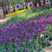 ヒメ日記 2025/05/07 23:05 投稿 戸田 MadameRest(マダムレスト)