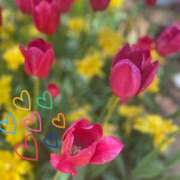 ヒメ日記 2025/05/09 08:35 投稿 戸田 MadameRest(マダムレスト)