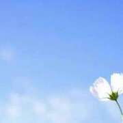 ヒメ日記 2025/05/20 06:27 投稿 戸田 MadameRest(マダムレスト)