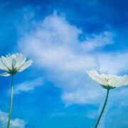 ヒメ日記 2025/05/24 08:36 投稿 戸田 MadameRest(マダムレスト)