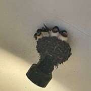 ヒメ日記 2025/05/29 22:28 投稿 戸田 MadameRest(マダムレスト)