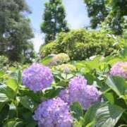 ヒメ日記 2025/06/04 07:45 投稿 戸田 MadameRest(マダムレスト)