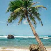 ヒメ日記 2025/07/14 09:39 投稿 戸田 MadameRest(マダムレスト)