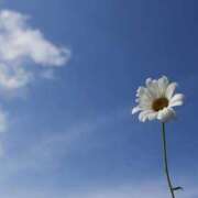 ヒメ日記 2025/08/22 09:51 投稿 戸田 MadameRest(マダムレスト)