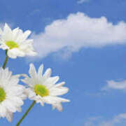 ヒメ日記 2025/10/03 08:43 投稿 戸田 MadameRest(マダムレスト)