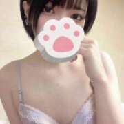 ヒメ日記 2025/03/25 20:49 投稿 まひる 舐めたくてグループ〜ペロンチョ学園〜八王子校