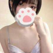 ヒメ日記 2026/06/16 19:40 投稿 まひる 舐めたくてグループ〜ペロンチョ学園〜八王子校