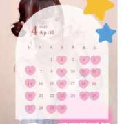 ヒメ日記 2025/03/27 12:16 投稿 雫(しずく)どれみ セグレターリオ