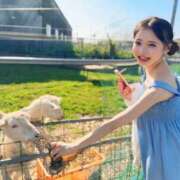 ヒメ日記 2025/05/18 17:30 投稿 雫(しずく)どれみ セグレターリオ