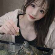 ヒメ日記 2026/01/12 20:30 投稿 雫(しずく)どれみ セグレターリオ