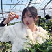 ヒメ日記 2026/01/31 17:45 投稿 雫(しずく)どれみ セグレターリオ