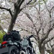 ヒメ日記 2026/04/23 00:13 投稿 エリカ 池袋角海老