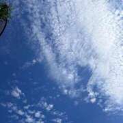 ヒメ日記 2025/06/04 09:20 投稿 みおり 渋谷角海老