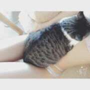 ヒメ日記 2025/06/05 20:20 投稿 みおり 渋谷角海老