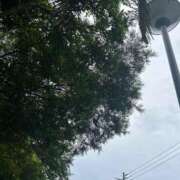 ヒメ日記 2025/06/11 10:11 投稿 みおり 渋谷角海老