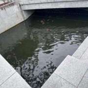 ヒメ日記 2025/06/11 12:20 投稿 みおり 渋谷角海老