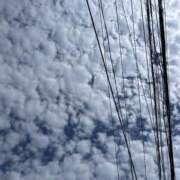 ヒメ日記 2025/06/12 10:30 投稿 みおり 渋谷角海老