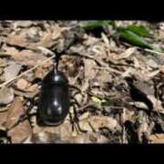 ヒメ日記 2025/06/12 11:40 投稿 みおり 渋谷角海老