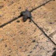 ヒメ日記 2025/06/12 17:30 投稿 みおり 渋谷角海老